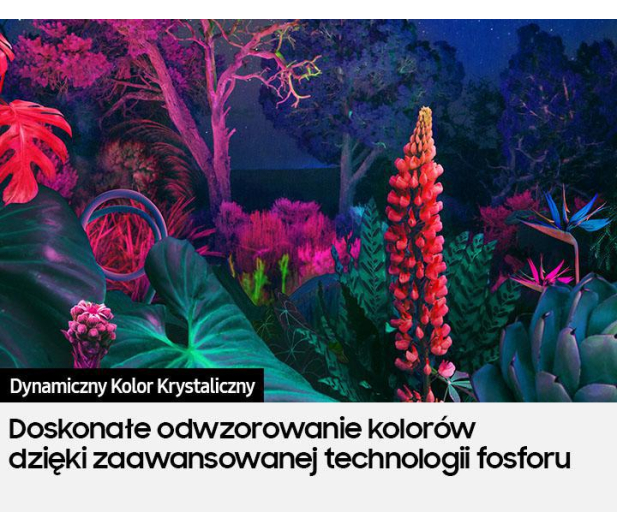 Samsung UE65BU8002 - 1046846 - zdjęcie 7